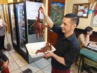 Wanderung am Beagle-Kanal im Feuerland-Nationalpark in Usuahia