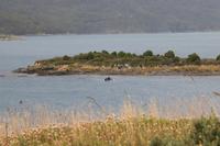 Wanderung am Beagle-Kanal im Feuerland-Nationalpark in Usuahia