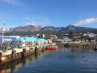 Bootsfahrt auf dem Beagle-Kanal