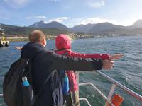 Bootsfahrt auf dem Beagle-Kanal