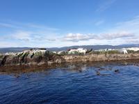 Bootsfahrt auf dem Beagle-Kanal