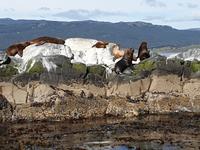 Bootsfahrt auf dem Beagle-Kanal