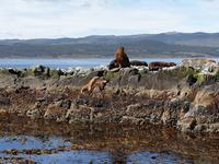 Bootsfahrt auf dem Beagle-Kanal
