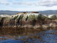 Bootsfahrt auf dem Beagle-Kanal