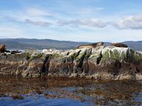 Bootsfahrt auf dem Beagle-Kanal