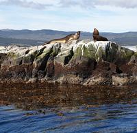 Bootsfahrt auf dem Beagle-Kanal