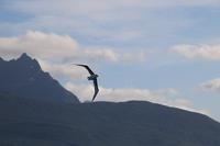 Bootsfahrt auf dem Beagle-Kanal