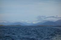 Bootsfahrt auf dem Beagle-Kanal