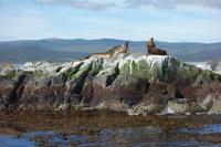 Bootsfahrt auf dem Beagle-Kanal