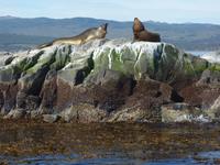 Bootsfahrt auf dem Beagle-Kanal