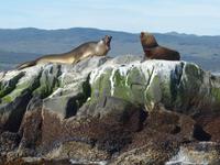 Bootsfahrt auf dem Beagle-Kanal