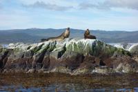 Bootsfahrt auf dem Beagle-Kanal