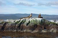 Bootsfahrt auf dem Beagle-Kanal