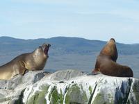 Bootsfahrt auf dem Beagle-Kanal