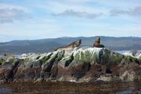 Bootsfahrt auf dem Beagle-Kanal