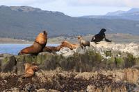 Bootsfahrt auf dem Beagle-Kanal