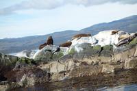 Bootsfahrt auf dem Beagle-Kanal