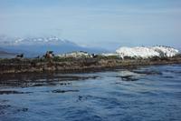 Bootsfahrt auf dem Beagle-Kanal