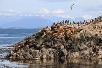 Bootsfahrt auf dem Beagle-Kanal
