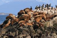 Bootsfahrt auf dem Beagle-Kanal
