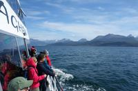 Bootsfahrt auf dem Beagle-Kanal