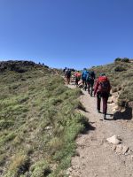 Las Aguilas y los Condores 