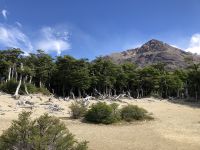 Laguna de los Tres 