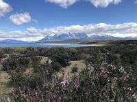 Torres del Paine 