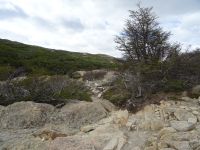 Wanderung zur Lagune de los Tres