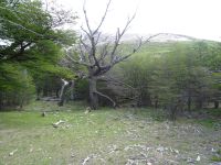 Wanderung zum Cerro Torre