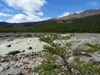 Wanderung zum Cerro Torre