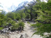 Wanderweg zum Cerro Torre