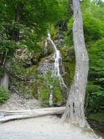 auf dem Weg zur Huemul-Wanderung