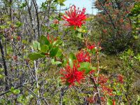 Perito-Moreno-Gletscher bei El Calafate