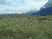 Nationalpark Torres del Paine