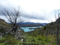 Nationalpark Torres del Paine