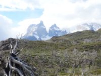 Nationalpark Torres del Paine