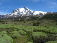 Nationalpark Torres del Paine