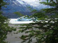 Nationalpark Torres del Paine