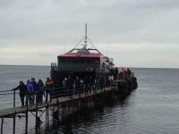 Ausflug zur Isla Magdalena bei Punta Arenas