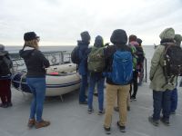 Ausflug zur Isla Magdalena bei Punta Arenas