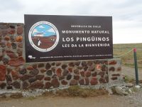 Isla Magdalena bei Punta Arenas