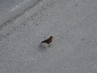 auf dem Weg nach Ushuaia