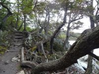 Wanderung im Feuerland-Nationalpark