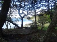 Wanderung im Feuerland-Nationalpark