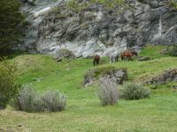 Wanderung im Feuerland-Nationalpark