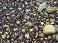 Wanderung im Feuerland-Nationalpark