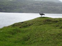 Wanderung im Feuerland-Nationalpark