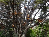 Wanderung im Feuerland-Nationalpark