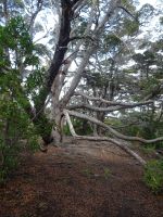 Wanderung im Feuerland-Nationalpark